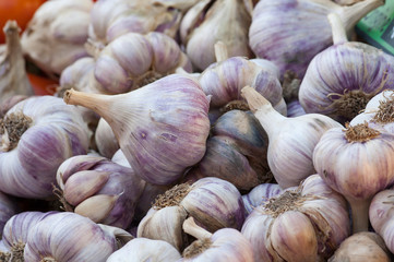 produit régionnaux - Provence