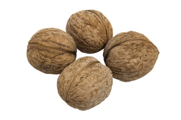 Circassian walnut isolated on white background
