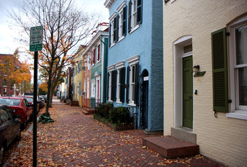 Autumn trees on a street in Washington