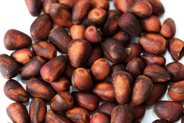 pine cone on a white background. isolated object