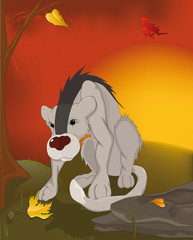 Wild Coyote and autumn