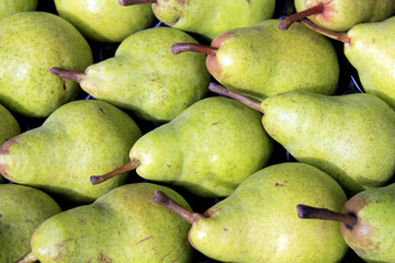 alignement de poires