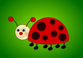 Coccinelle