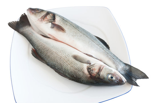 two sea bass - due spigole