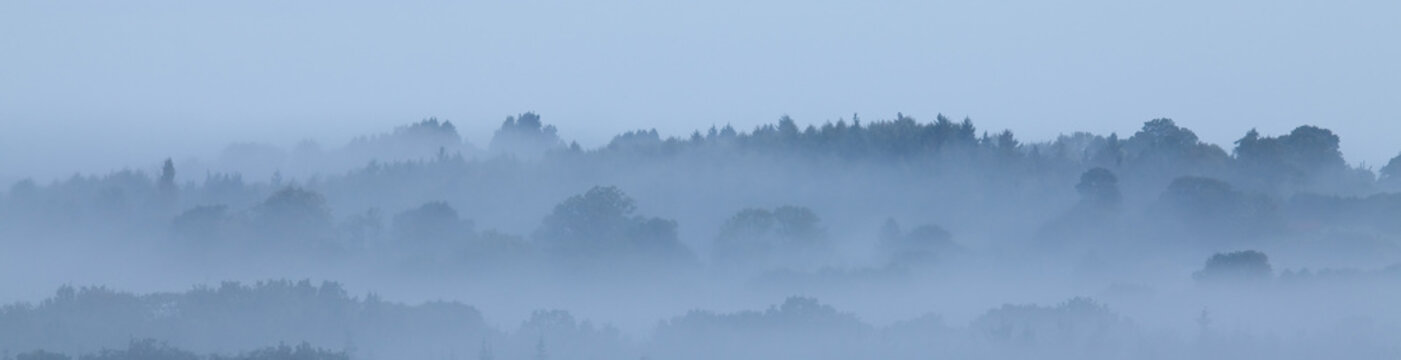 Misty Morning banner background