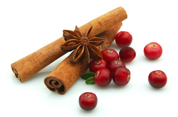 Cranberry and spices