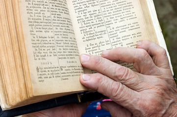 Naklejka premium The old woman reads the bible