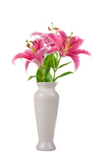 Naklejka na ściany i meble Flower in a vase