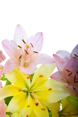 beautiful bouquet of flowers