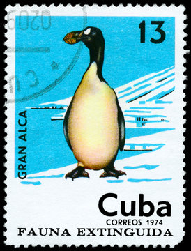 CUBA - CIRCA 1974 Great Auk