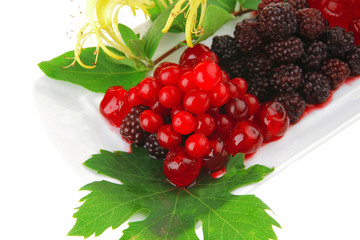 blackberry, cherry and cranberry