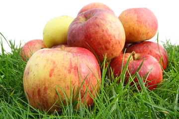 The  autmn  apples  on a grass macro