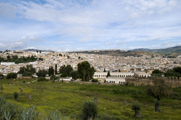 Fez Cityscape