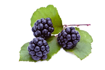 Blackberries