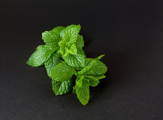 peppermint on black © Diana Taliun