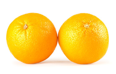 Two oranges isolated on white