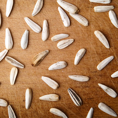 seeds