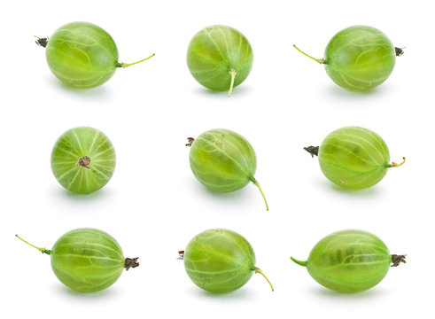 Green Gooseberry