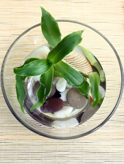 top view of bowl with water, pebbles and plant