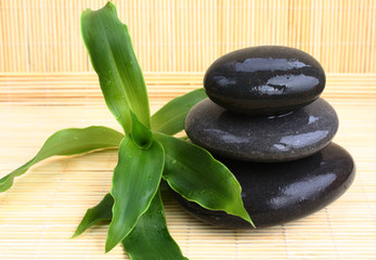 Obraz premium wet massage stones with the plant on bamboo mat