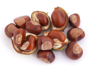 A conker is the seed of a horse chestnut tree.