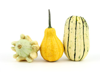 Two decorative gourds and a delicata squash