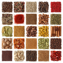 Indian spices collection - obrazy, fototapety, plakaty