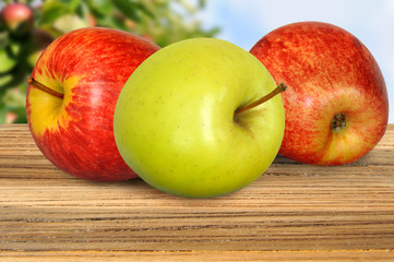 Obst 165