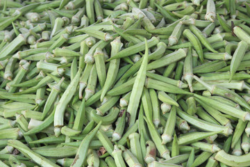 Okra Gemüse