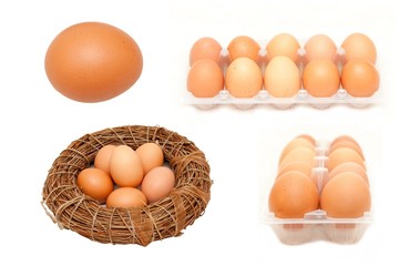 eggs