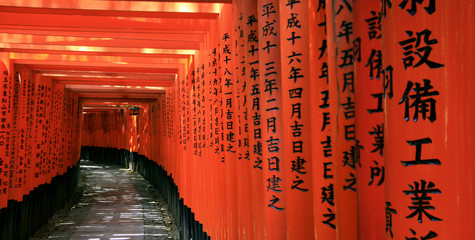 Inari torii pathway