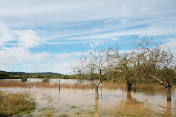 Flooded field