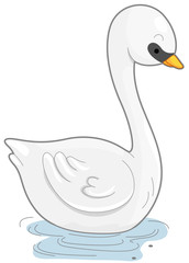 Swan