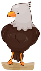 Eagle