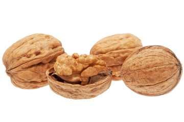 Walnut
