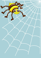 spider and web