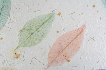 Paper with leaves