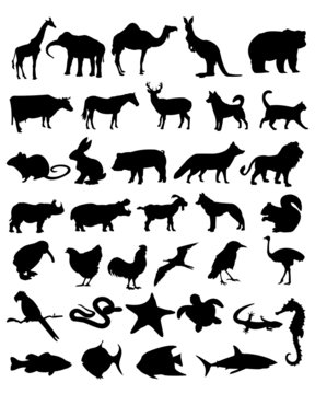 36 animal black silhouettes