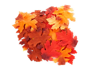 silk autumn leaves over white background