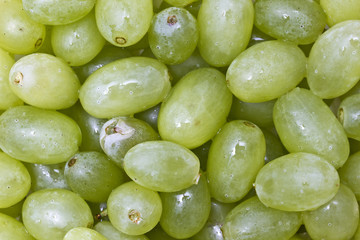 Fresh green grapes background