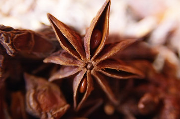 Anise asterisk