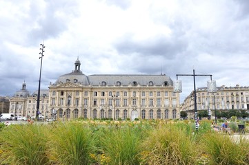 Fototapeta premium bordeaux 17