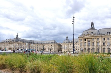 Obraz premium bordeaux 16