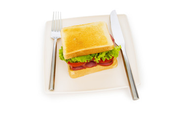 Tasty sandwich isolated on the white background