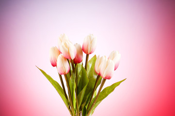 Bouquet of colorful tulips on the table