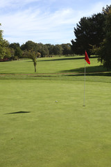 Obraz premium Golf Putting Green