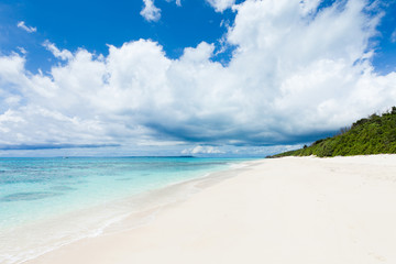 Fototapeta na wymiar White sand beach on deserted tropical island with clear water