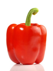 Rote Paprika