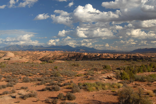 Desert Floor