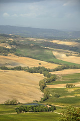 Fototapeta premium View at Val d'Orcia, Tuscany, Italy